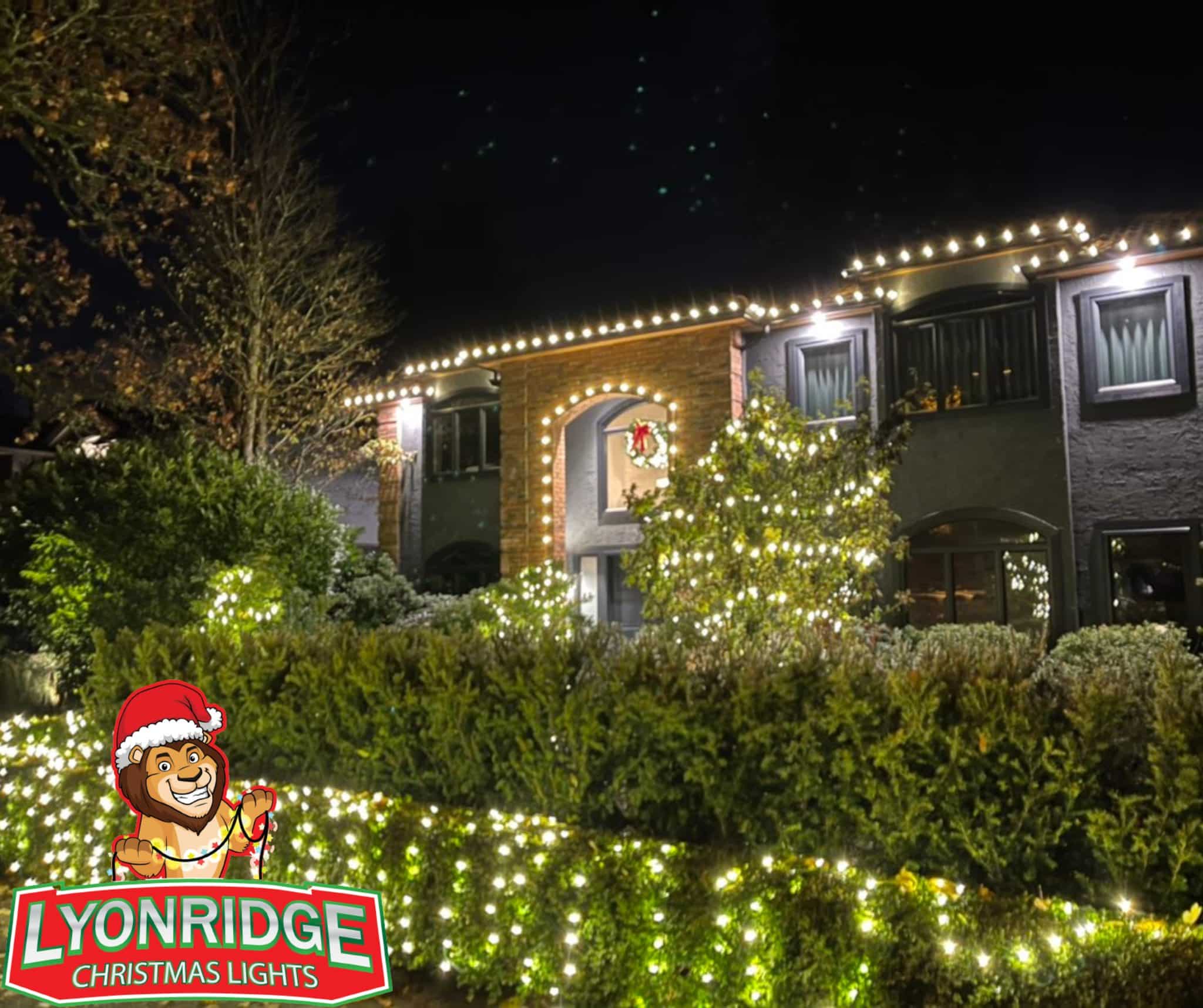 Christmas light installers Langley Township