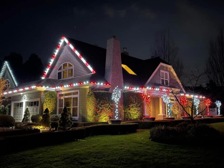 Langley Township Christmas lights near me
