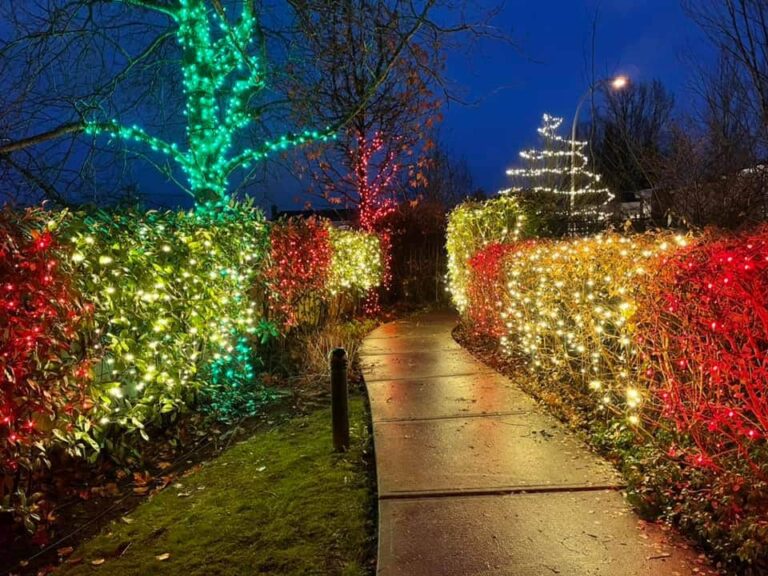 commercial Christmas light displays