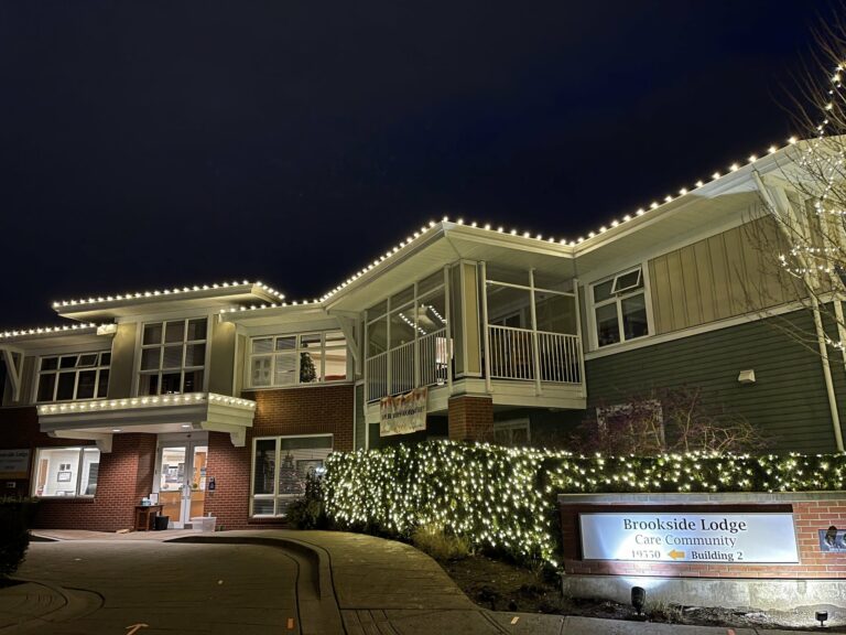 commercial Christmas light installers Langley Township